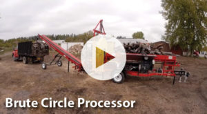 Brute Circle Processor Video